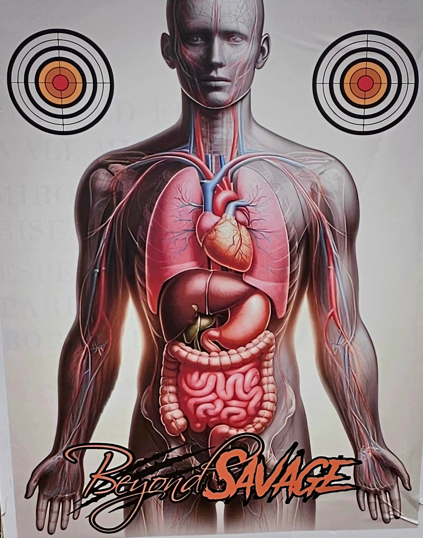 Human Vitals / Organ Target, Paper Shooting Target