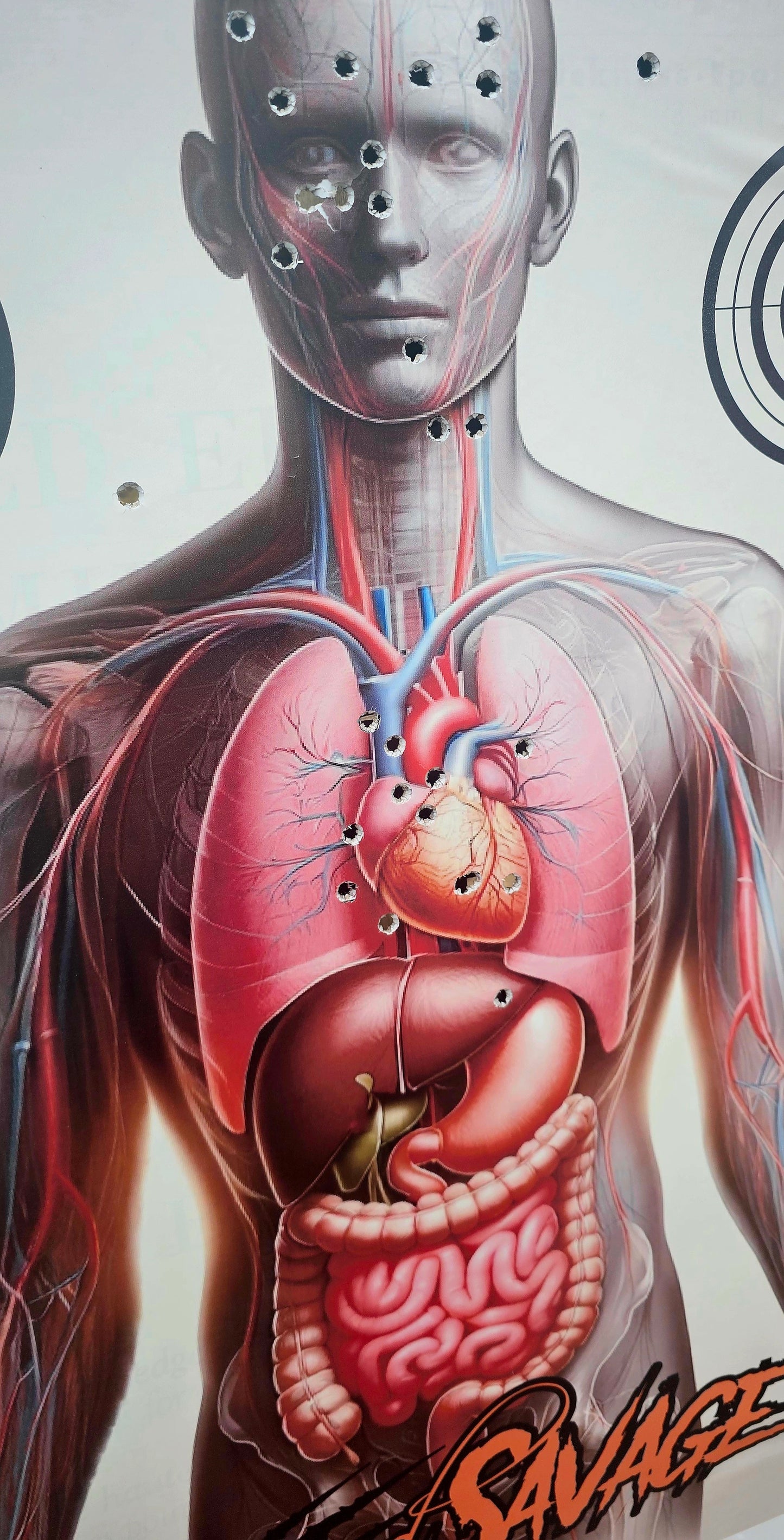 Human Vitals / Organ Target, Paper Shooting Target