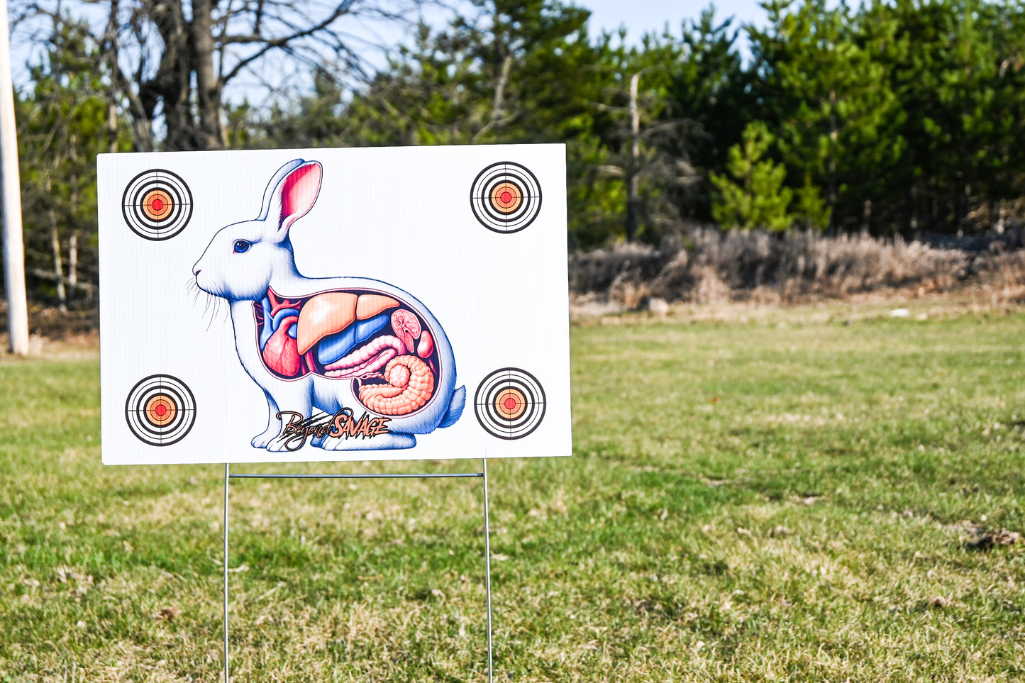 Portable Shooting Target Range, Plastic + Stand - Rabbit Vital Organs